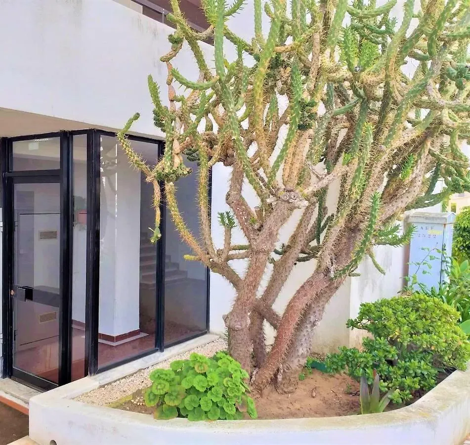 Magalie Sea View Apartment Albufeira